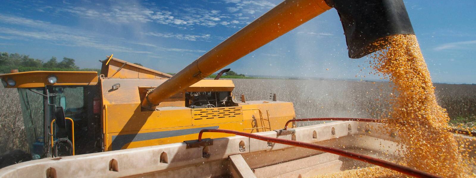 Descubra como o Farm Equity está revolucionando o financiamento rural